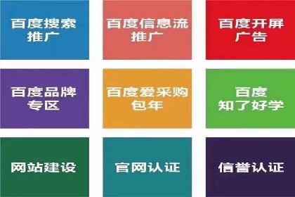 百度推广与品牌建设：成功品牌推广案例解析